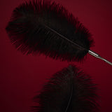 OSUGA Adult Sexy Feather Stick, 13.8 Black Ostrich Feather Teasing Toys, Romantic Feather Stick with Exquisite Copper Handle