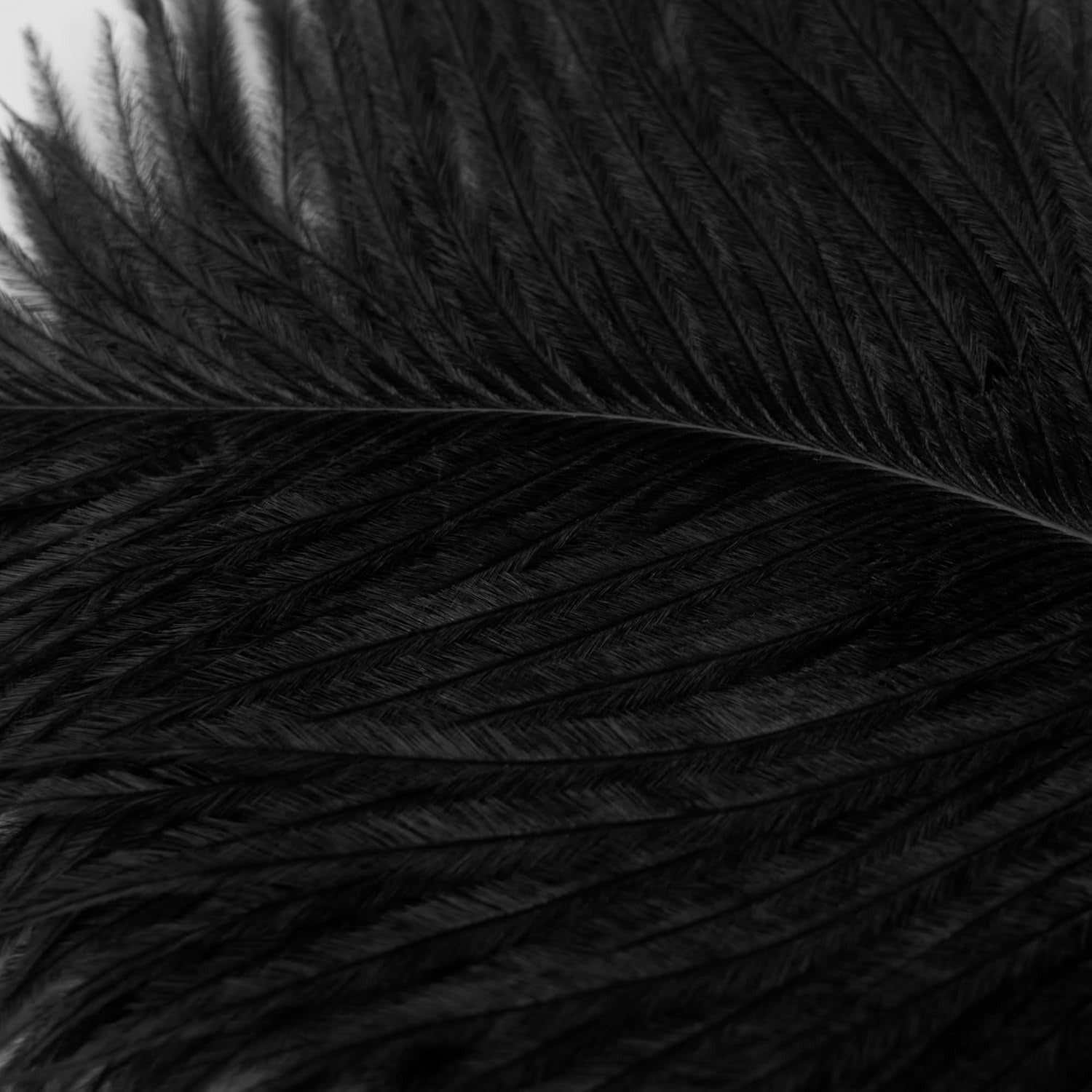 13.8" Sexy Feather Stick OSUGA