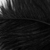 13.8" Sexy Feather Stick OSUGA